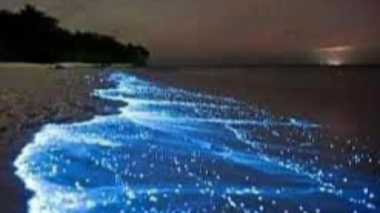 Pangkor Better Life Cozy Studio-walking 2min To Beach,1-4pax *